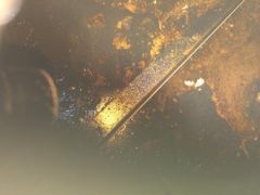 topic image thumbnail